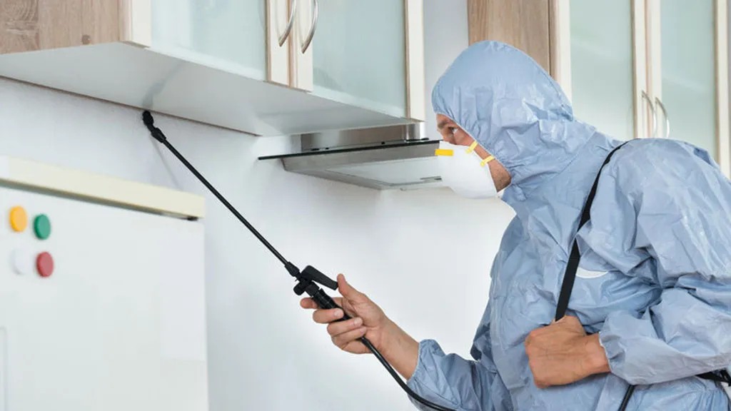 Aplicación de tratamiento de control de plagas en una cocina